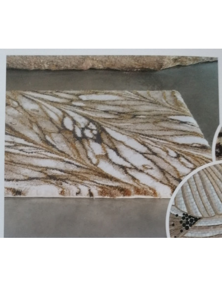 DIANE Tappeto arredo cotone egiziano