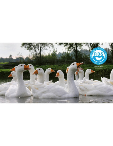 OUTLAST & GOLD DOWN Piumino matrimoniale medio peso