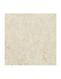 VENERE Cuscino velluto beige chiaro 50 x 50 2