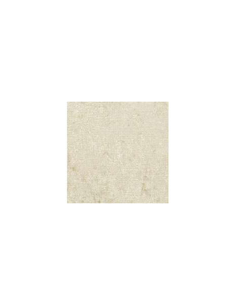 VENERE Cuscino velluto beige chiaro