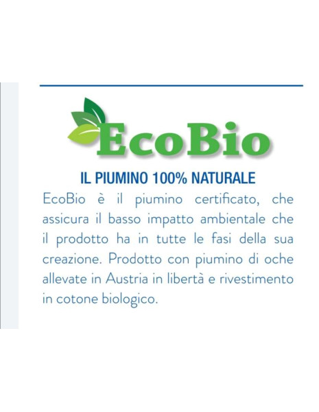 ECOBIO CALDO 100% Piumino d'oca vergine classe 1 cotone biologico