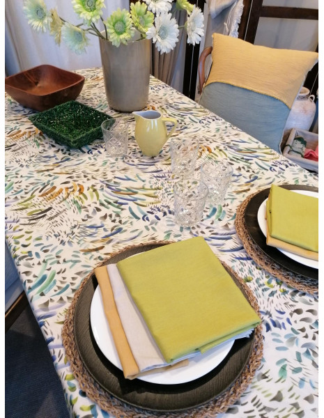 LAPIS Tovaglie antimacchia resinate varie misure