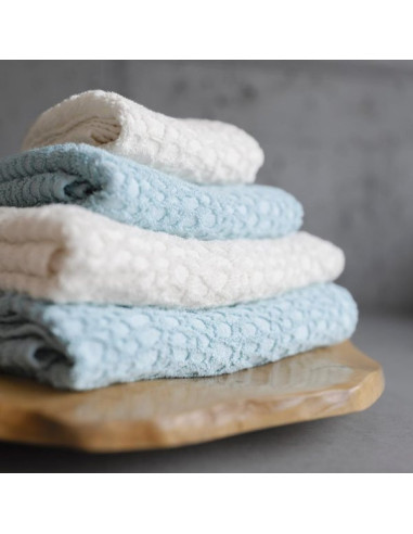 LODGE Asciugamani e Teli bagno cotone egizio