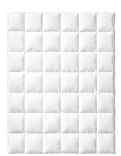 GIOTTO PLUS 750 Piumino D'oca peso medio