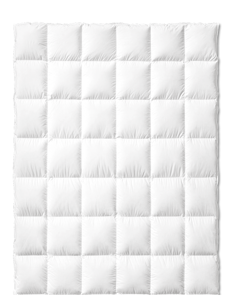 GIOTTO PLUS 750 Piumino D'oca peso medio